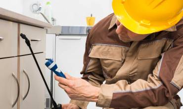 Termite Treatments: Protecting Your Property from Hidden&nbsp;Damage